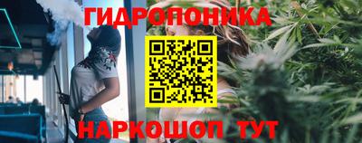 дурь Шебекино