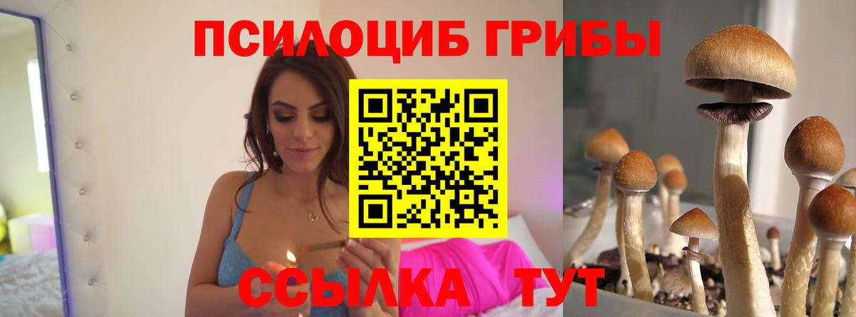 Псилоцибиновые грибы Magic Shrooms  Вход с VPN  Белорецк 